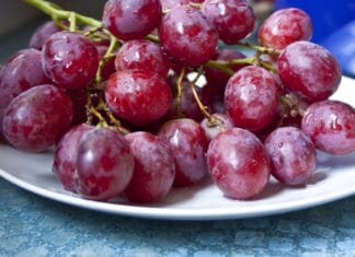 Profesjonalna kuchnia na 5m² – jak to możliwe?